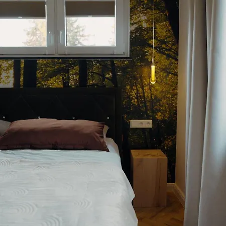 Harz Zeit Residenz Premium Ferienhaus Сasa de vacaciones Hasselfelde